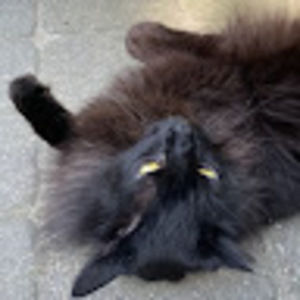 Meet your Posher, Ruth